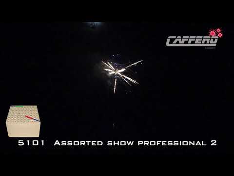 5101 Assorted show professional 2