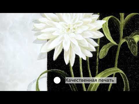 Миниатюра изображения товара Картина Декарт Белые цветы-1 8Л0096 (в раме)