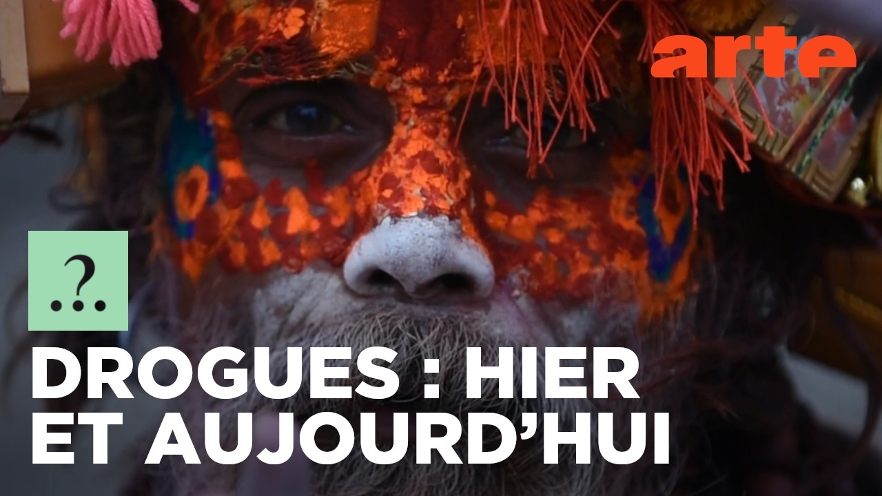 Est-il vrai que l'humain a toujours cherché à planer ? | Est-il vrai que...? | ARTE