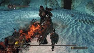 DS2 SotFS Fume Knight SL1 NG+7 CoC NO ROLL/HIT/BLOCK