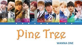 Download lagu WANNA ONE (워너원) - 'Pine Tree' Lyrics [Color Coded_Han_Rom_Eng] mp3