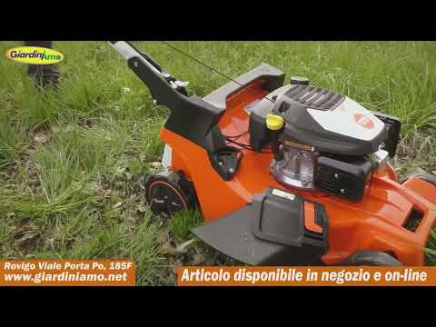 Miniatura Video