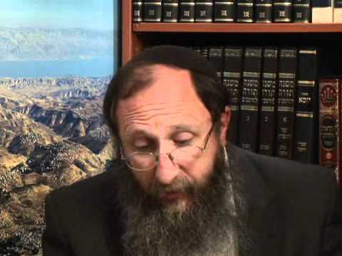 Weekly Torah Portion: Lech Lecha