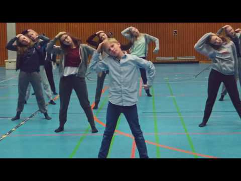 Die SVP Show 2017 - Die DVD - Teaser