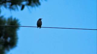 Joan Baez - &quot;Time Is Passing Us By&quot;