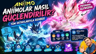 ANİİMOLAR NASIL GÜÇLENDİRİLİR? 💪 | Baştan Sona Geliştirme Rehberi