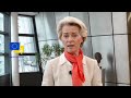 One Third Of European Women Are Victims Of Violence During Their Lifetime Can EU End The Violence