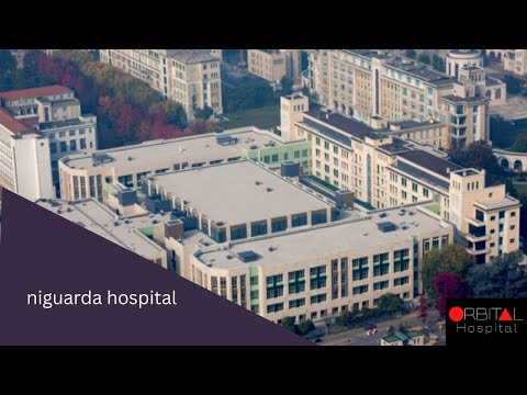 Niguarda hospital