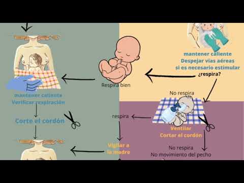 Obstetrics video 1