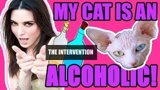 EPISODE 5- MY CAT IS AN ALCOHOLIC! (THE INTERVENTION) video