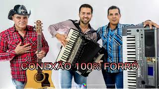 Faz assim comigo não - Erley e Banda Conexão 💯% Forró MG