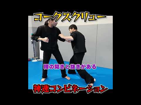 反応できない武術家の神速コンビネーション　 #ワンインチチャンネル #石井東吾