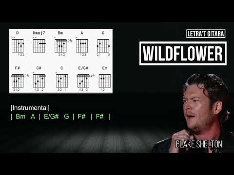 Wildflower - Blake Shelton