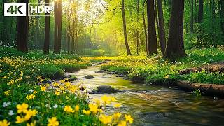 Healing Music for Inner Peace 🌿 Calm Nature Sounds for Stress Release & Deep Sleep, Relaxing Music