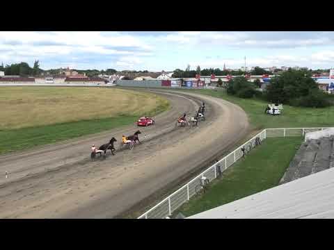 Trka "Farma Bogdanović-Miloševac" 20.06.2020 Montecatini - Branislav Mukić