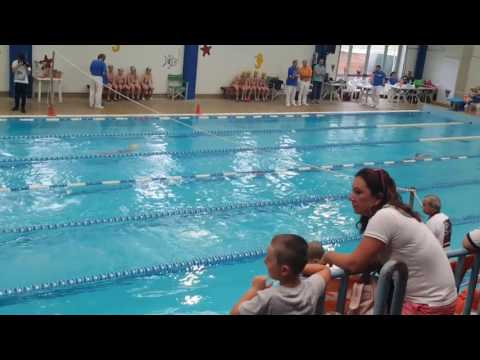 Staffetta 4×50 SL (Es.C Femm.) - Finali 2015-2016 - Tavarnuzze