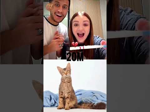 #cat #funny #memes #cute #cinematic #edit #feelit #love #deep #music