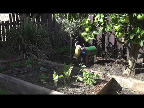 SOLD - 116 Landscape Road, Mt Eden - Ketiesha Elliott and Frank Excell