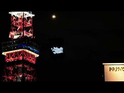 特別映像／ヒックとトゥースが東京の空にやってきた！