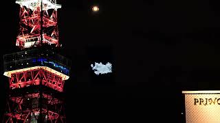 特別映像/ヒックとトゥースが東京の空にやってきた!