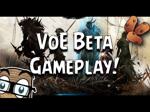 Visions of Eternity Beta - The Gauntlet Begins With the Antiquary!