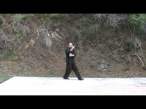 Bagua Single Palm Change done 3 ways
