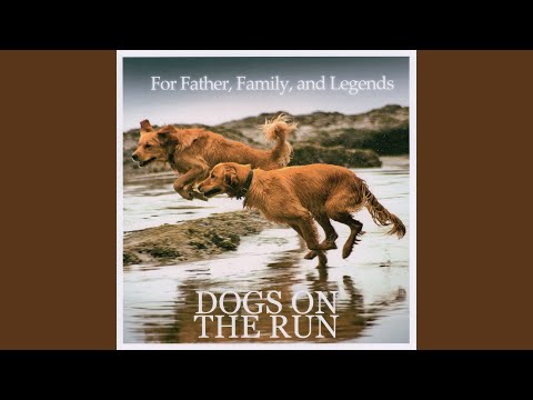 That Old Yellow House - Dogs on the Run