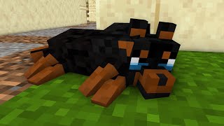 WOLF LIFE: LONELY PUPPY WAITS FOR HELP - Sad Story - Good Ending - Minecraft Animation