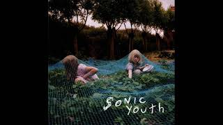 Sonic Youth - Disconnection Notice