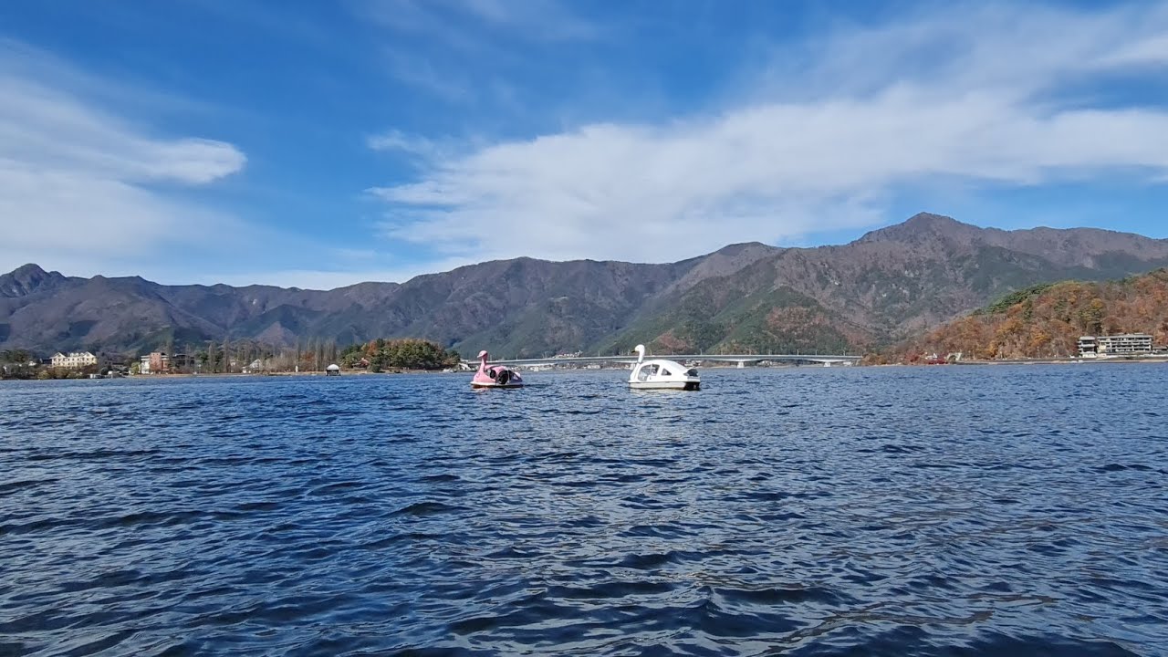 Experience the highlights of a mesmerizing Swan Rower Boat ride.