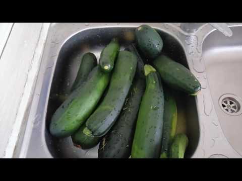 Zucchine biologiche in agrodolce, da MicheleExpert-Cropalati-Calabria