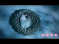 Ukka WINGS MV Teaser