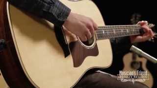 Video thumbnail for Taylor 810e Brazilian Rosewood Dreadnought Acoustic-Electric Guitar Natural by Musician's Friend