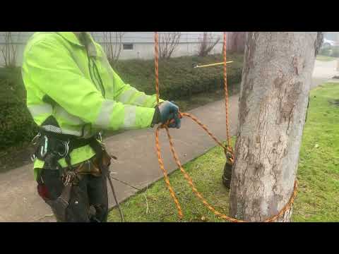 How to tie a secure base anchor for SRS tree climbing