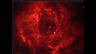 ark -  torn 🌴  🌴💜 🐺 - ❄ 🌴 🔥🌴  🌴 🔥 🔥 🌴  🌴💜 ☔⚡🌴  🌴⚡ ☔⚡⚡ 🔥🔥 🔆🔅🔅🔆