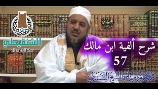 شرح ألفية ابن مالك||57 - تتمة باب ما لا ينصرف|| الشيخ محمد محمود الشنقيطي image