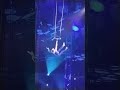 Big Apple Circus BigAppleCircus