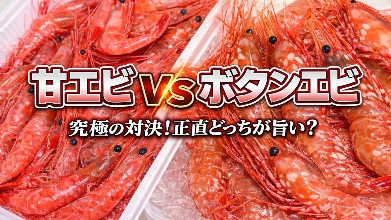 【北海道】白老の人気店『海産物 夕市』今が旬のエビ！どっちが旨いか食べ比べレビュー☝️
