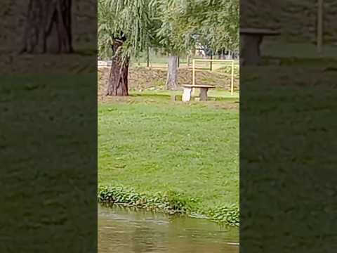 Casa Grande, Punilla, Córdoba, Argentina.#casagrande
