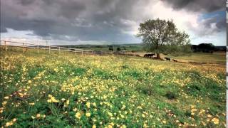 Ralph Vaughan Williams - The Lark Ascending