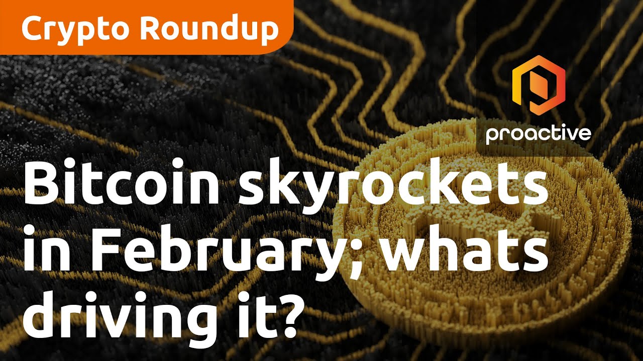 Bitcoin skyrockets in February; what's driving the crypto giant? - Crypto Roundup