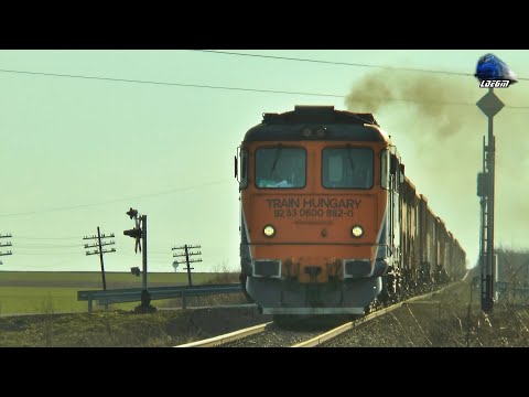 Trenuri Lângă Oradea 🚂🚄🚂 Trains Near Oradea - 28 February 2022