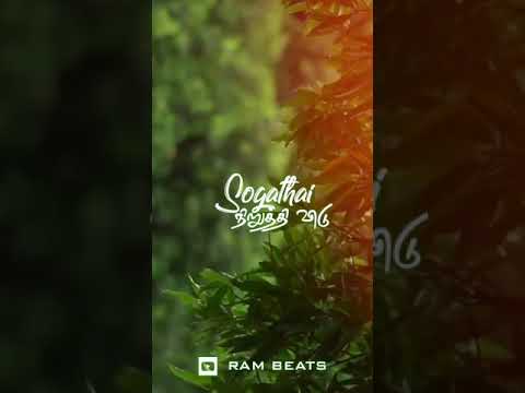 Soodi Thandha Sudar Kodiye | Margazhi Thingal Allava | Tamil Classical WhatsApp Status | Ram beatz