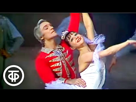 Па де де из балета Петра Чайковского "Щелкунчик". Екатерина Максимова и Владимир Васильев (1980)