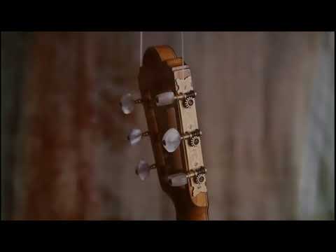 Ignacio Fleta 1959 classical guitar