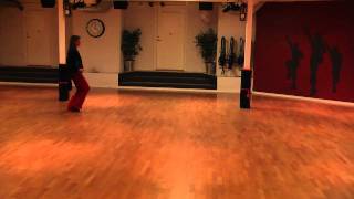 Gabriele Dance: Gary Moore  Someday Baby