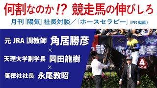 【社長対談 ２】＃2　角居勝彦さんに聞く「競走馬の伸びしろ」