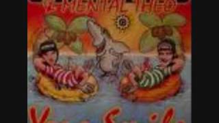 charlie lownoise your smile (vinyl rip)