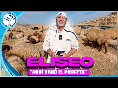 Descubre los 14 Milagros del Profeta Eliseo