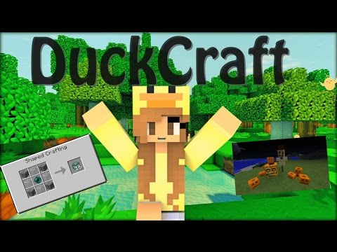 Decorating & Elevators | DuckCraft | Ep. 4